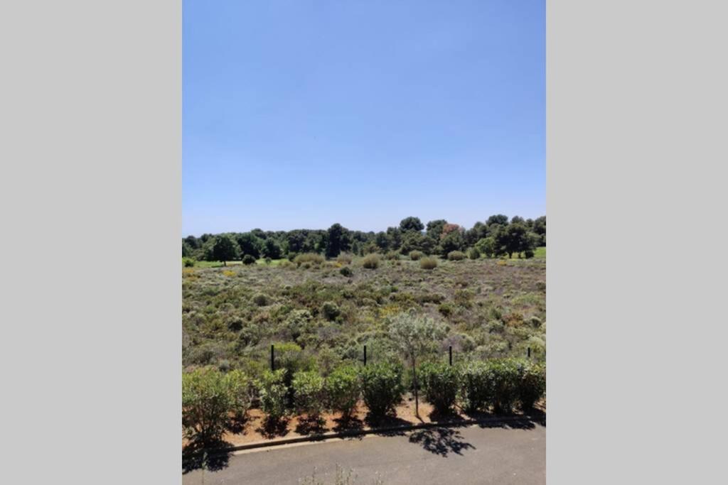 Appartement Golf Saint Thomas - Belle Residence Béziers Eksteriør bilde